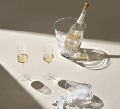 Nude Stem Zero Champagneglas 300 Ml -Tafelgerei Verkoop zero champagne 3